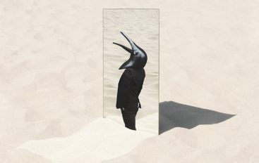 Penguin Cafe “The Imperfect Sea” (2017)