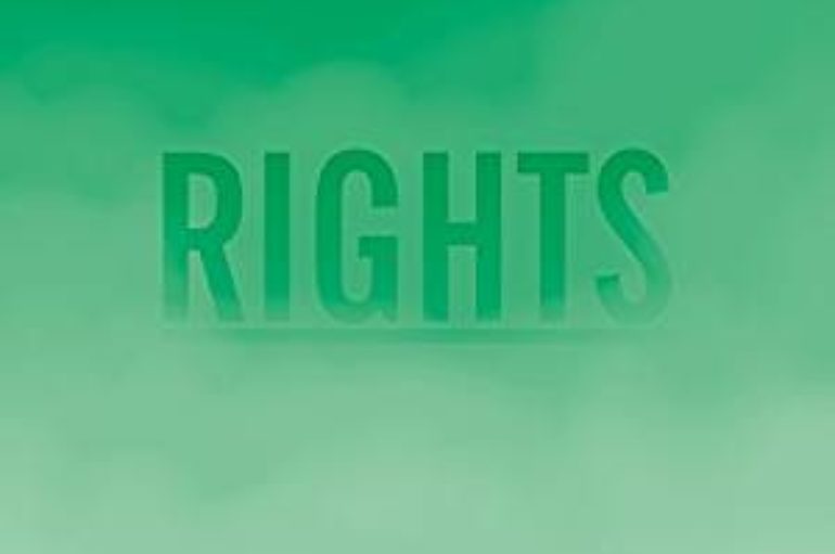 Schnellertollermeier «Rights» (2017)