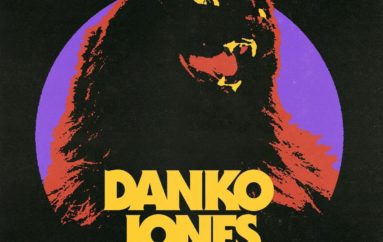 Danko Jones «Wild Cat» (2017)