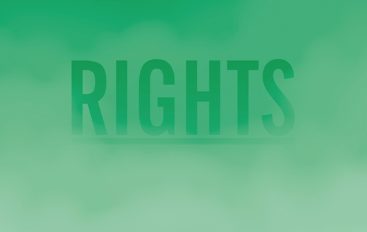 Schnellertollermeier “Rights” (2017)