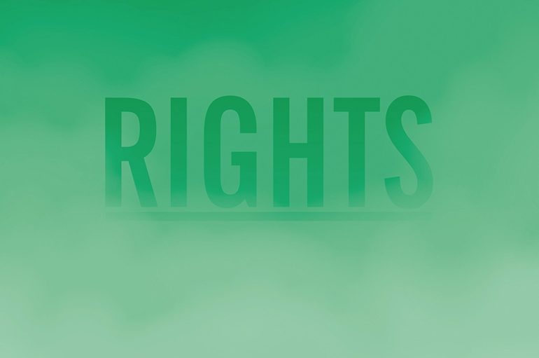 Schnellertollermeier “Rights” (2017)