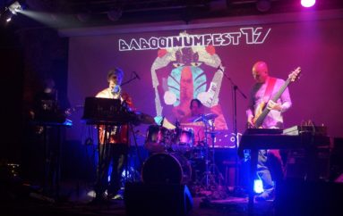 Babooinumfest #17: Записки участника