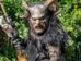 Wacken Open Air-2025