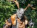 Wacken Open Air-2025